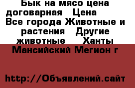 Бык на мясо цена договарная › Цена ­ 300 - Все города Животные и растения » Другие животные   . Ханты-Мансийский,Мегион г.